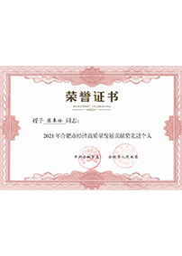 2021年合肥市經(jīng)濟(jì)高質(zhì)量發(fā)展貢獻(xiàn)獎先進(jìn)個人